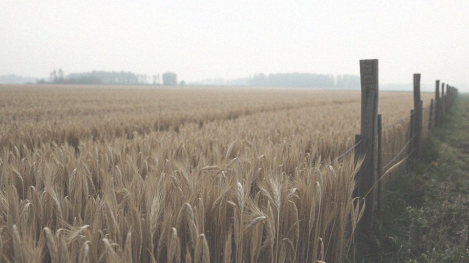 Jakie są zalecenia dotyczące ograniczenia szkód przez zwierzęta?