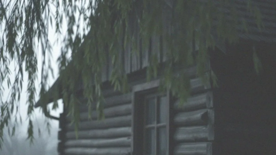 Czy migrena jest dziedziczna? Genetyka migreny i jej wpływ