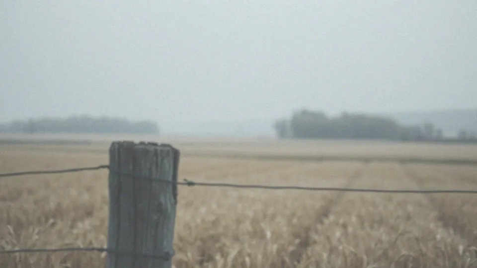 Powiększona wątroba a ból pleców – przyczyny i leczenie