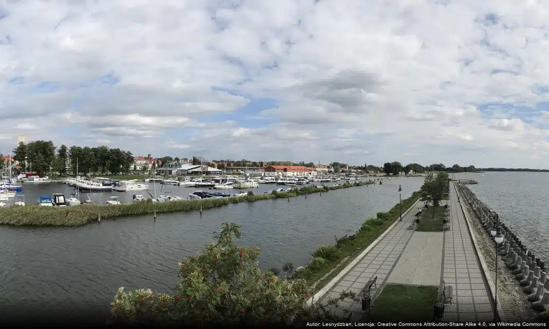 Nowa akcja sterylizacji i kastracji wolno żyjących kotów w Giżycku